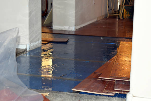 Professional Sewage Cleanup technician working in Angola, NY